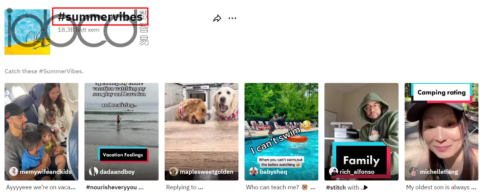 關(guān)注 TikTok 趨勢