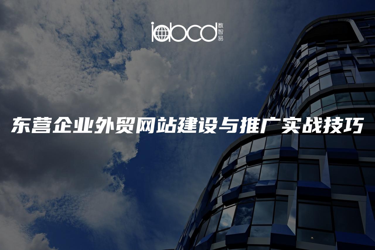 東營企業(yè)外貿(mào)網(wǎng)站建設(shè)與推廣實戰(zhàn)技巧