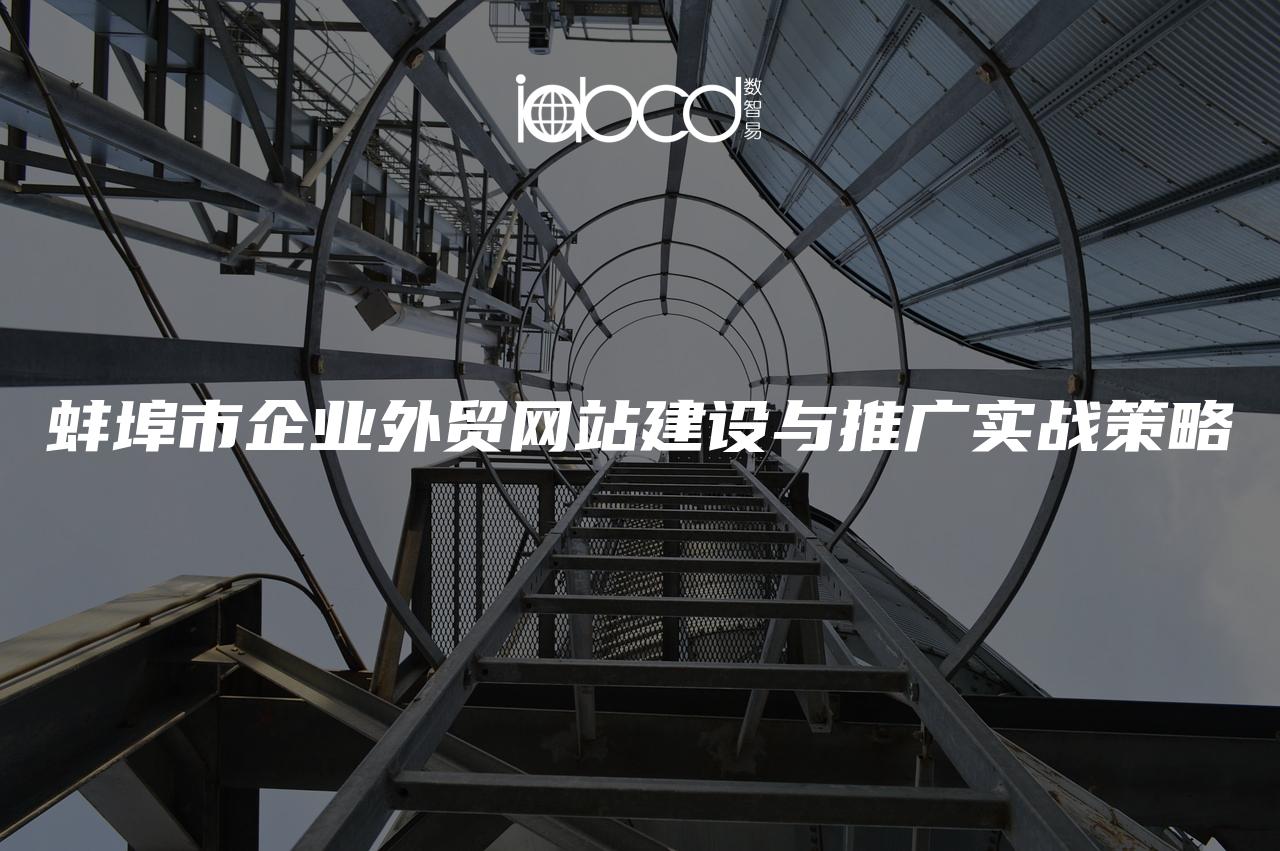 蚌埠市企業(yè)外貿(mào)網(wǎng)站建設與推廣實戰(zhàn)策略