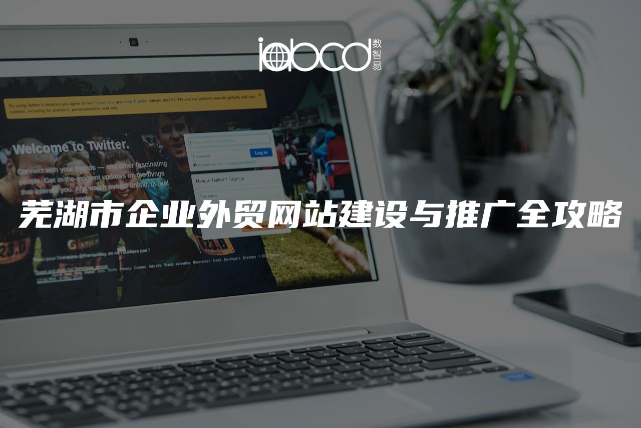 蕪湖市企業(yè)外貿(mào)網(wǎng)站建設(shè)與推廣全攻略