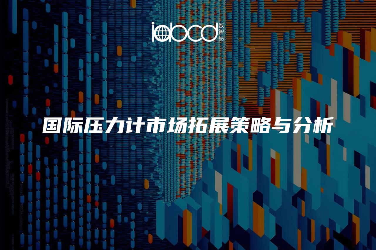 國際壓力計(jì)市場拓展策略與分析