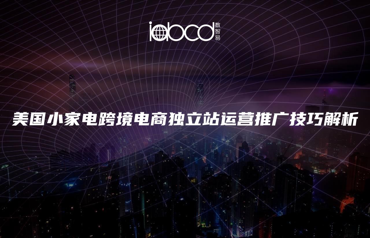 美國小家電跨境電商獨立站運營推廣技巧解析