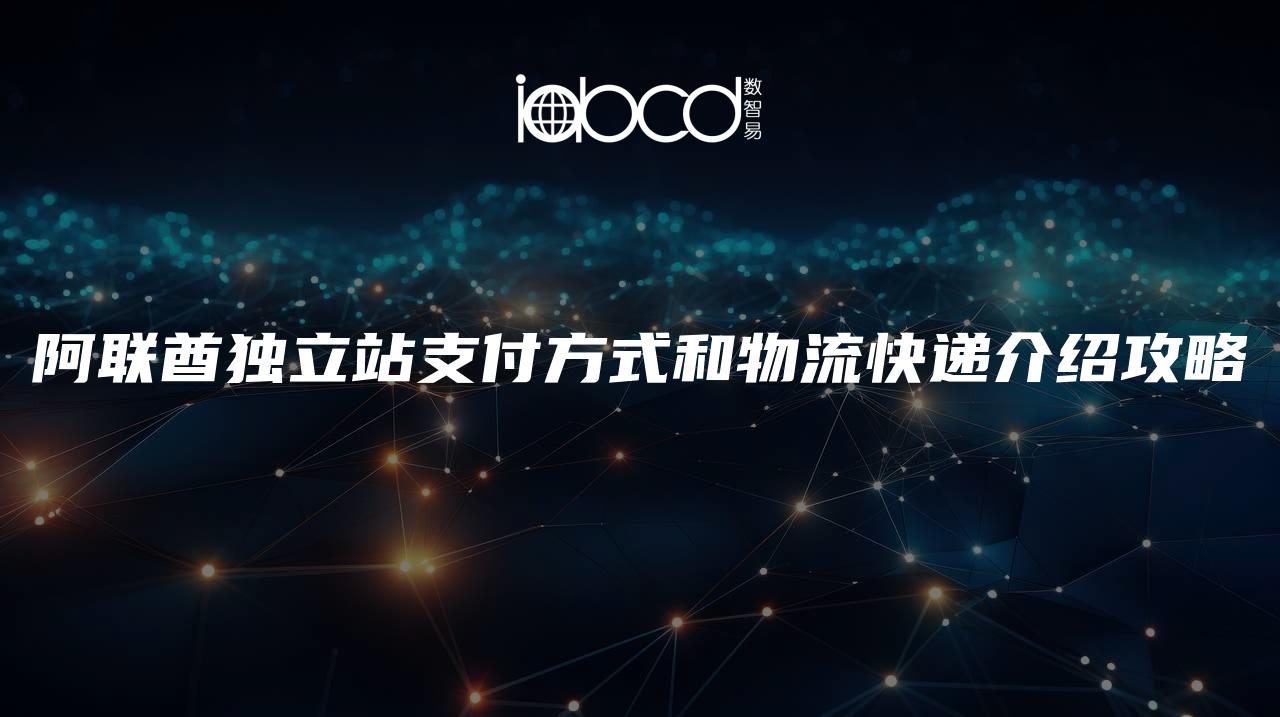 阿聯(lián)酋獨立站支付方式和物流快遞介紹攻略