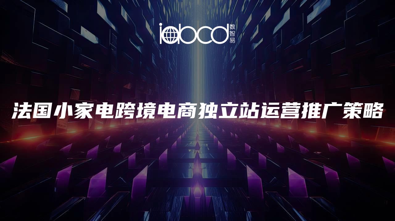法國小家電跨境電商獨(dú)立站運(yùn)營推廣策略