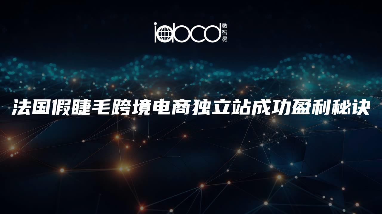 法國假睫毛跨境電商獨立站成功盈利秘訣