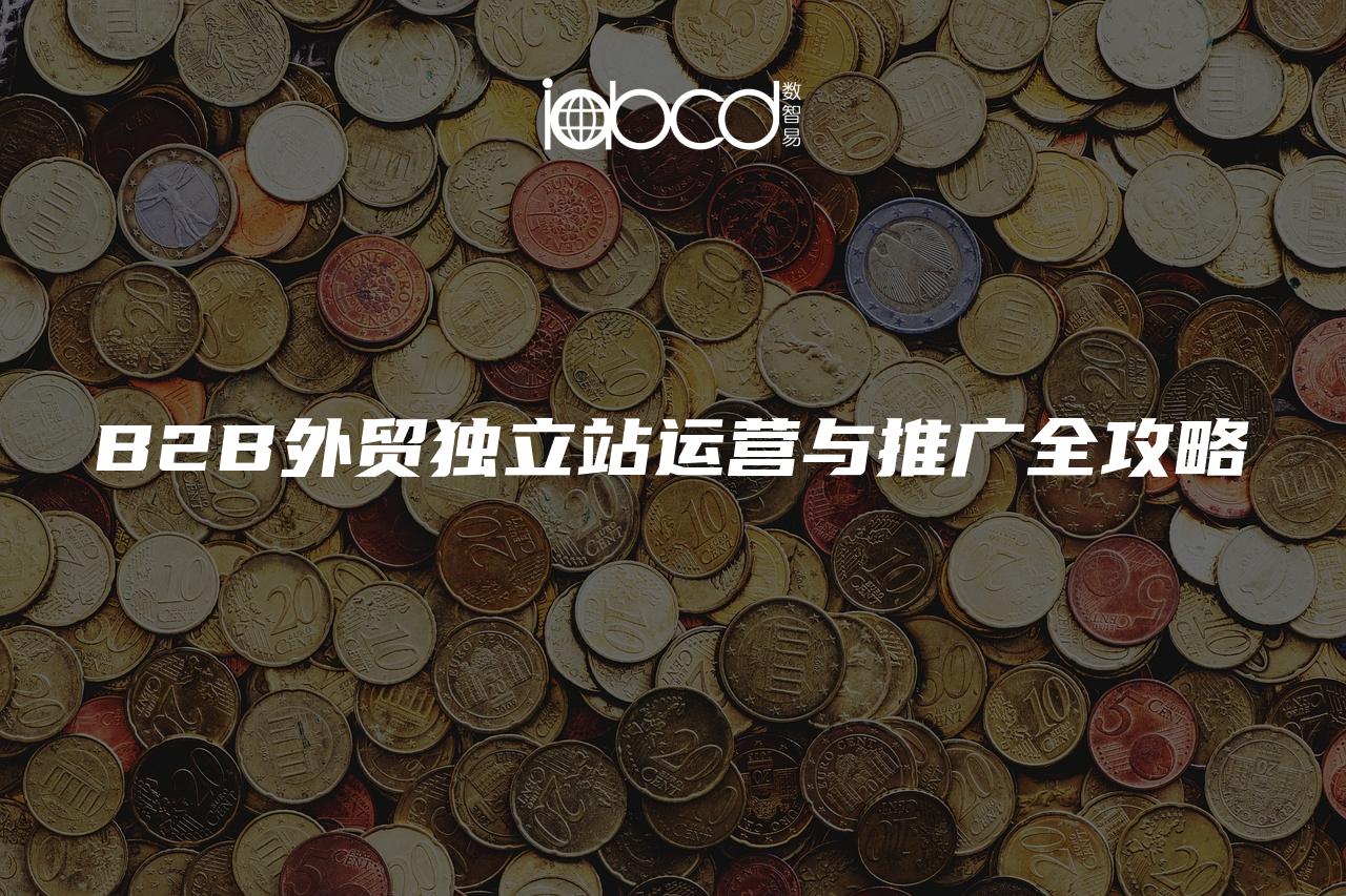 B2B外貿(mào)獨(dú)立站運(yùn)營(yíng)與推廣全攻略