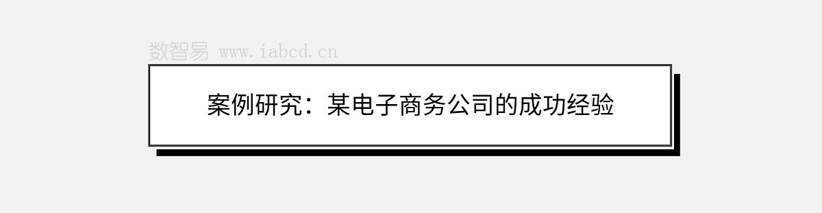 案例研究：某電子商務公司的成功經驗