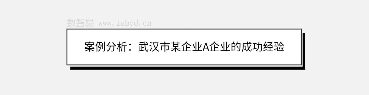 案例分析：武漢市某企業(yè)A企業(yè)的成功經(jīng)驗(yàn)
