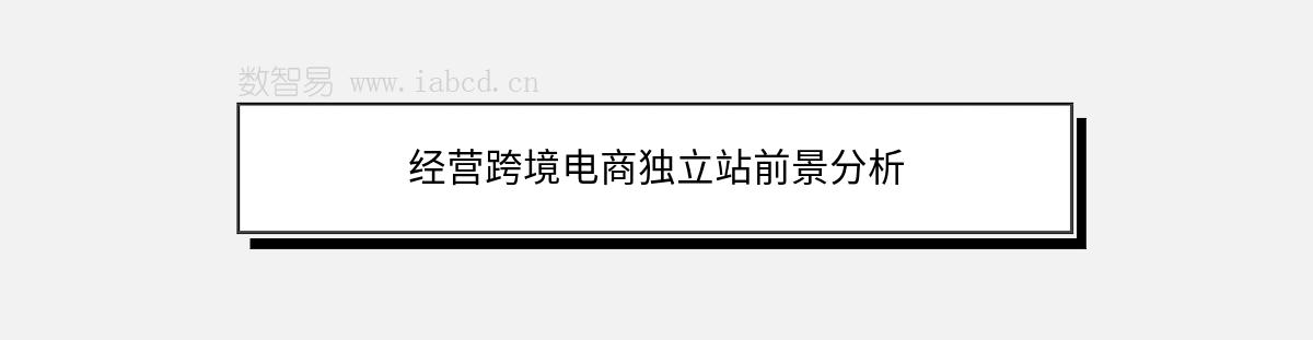 經(jīng)營跨境電商獨立站前景分析