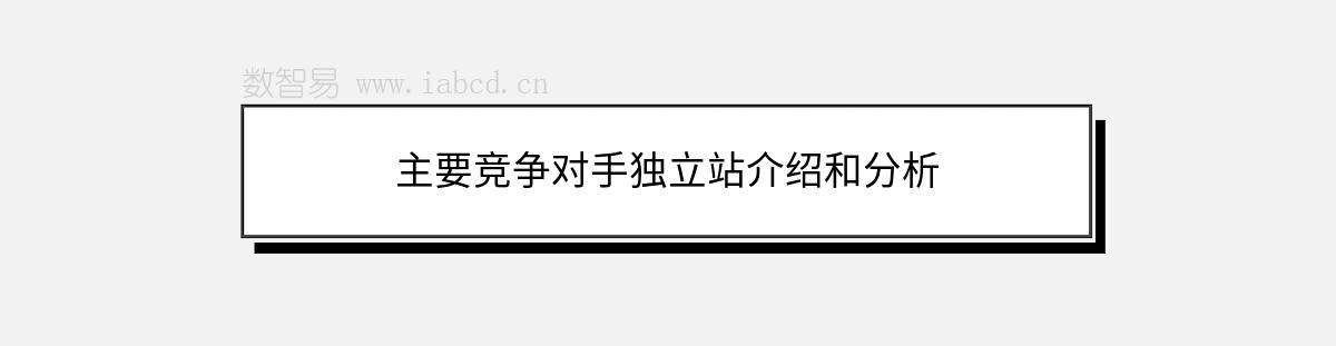 主要競爭對手獨立站介紹和分析