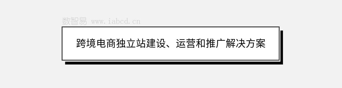 跨境電商獨立站建設、運營和推廣解決方案