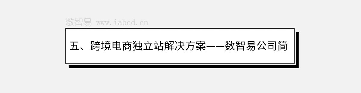 五、跨境電商獨立站解決方案——數(shù)智易公司簡介