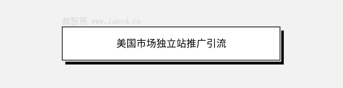 美國(guó)市場(chǎng)獨(dú)立站推廣引流