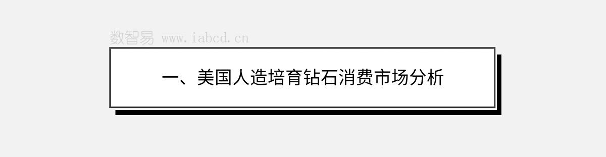 一、美國人造培育鉆石消費市場分析