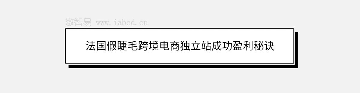 法國假睫毛跨境電商獨立站成功盈利秘訣