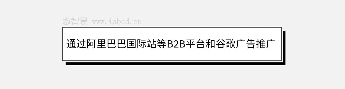 通過阿里巴巴國際站等B2B平臺和谷歌廣告推廣的現(xiàn)狀