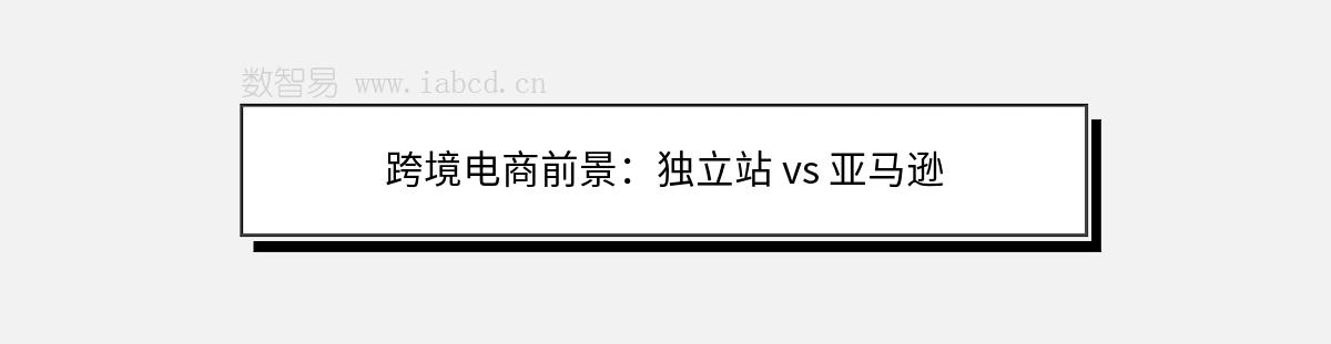 跨境電商前景：獨(dú)立站 vs 亞馬遜