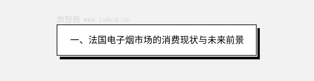 一、法國(guó)電子煙市場(chǎng)的消費(fèi)現(xiàn)狀與未來(lái)前景