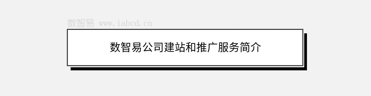 數(shù)智易公司建站和推廣服務簡介