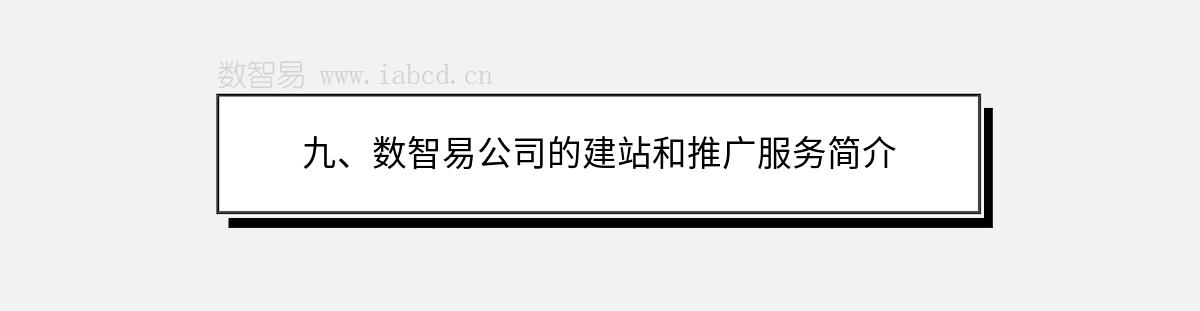 九、數(shù)智易公司的建站和推廣服務(wù)簡介