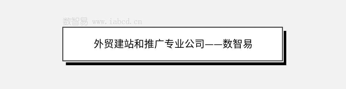 外貿建站和推廣專業(yè)公司——數智易