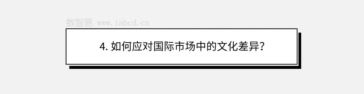 4. 如何應(yīng)對國際市場中的文化差異？