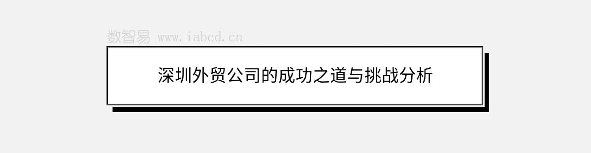 深圳外貿(mào)公司的成功之道與挑戰(zhàn)分析