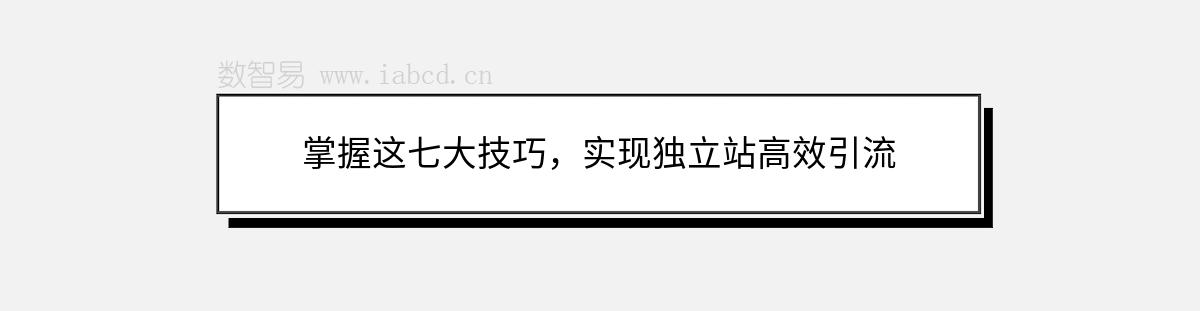 掌握這七大技巧，實(shí)現(xiàn)獨(dú)立站高效引流