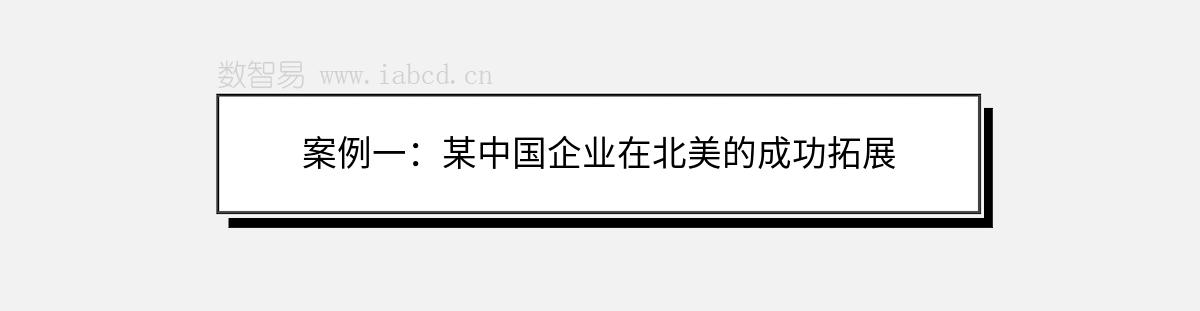案例一：某中國(guó)企業(yè)在北美的成功拓展