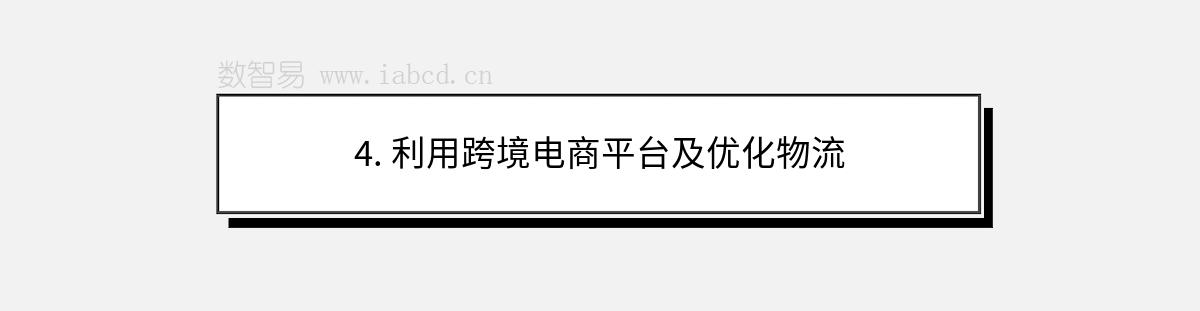 4. 利用跨境電商平臺及優(yōu)化物流