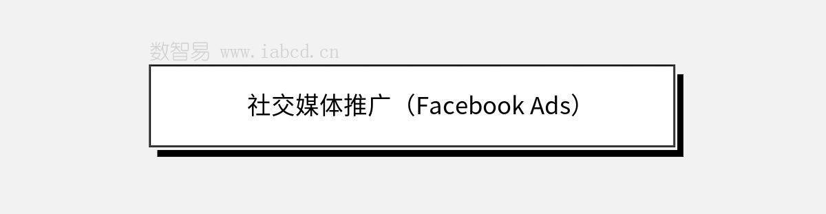 社交媒體推廣（Facebook Ads）