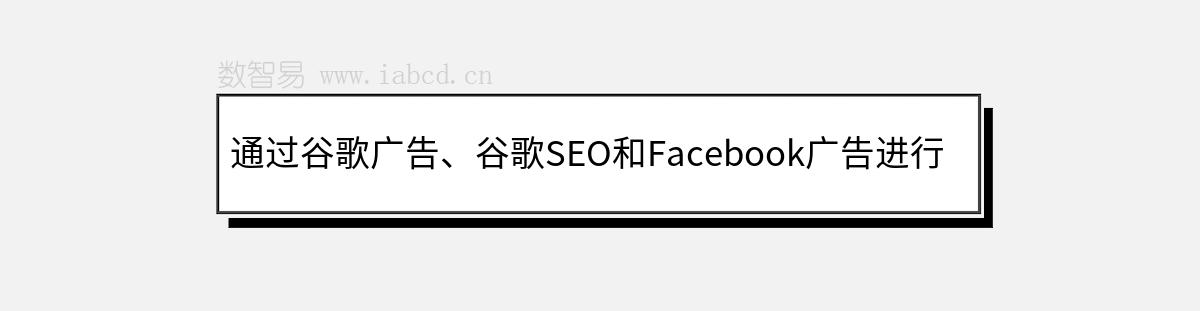 通過谷歌廣告、谷歌SEO和Facebook廣告進(jìn)行推廣