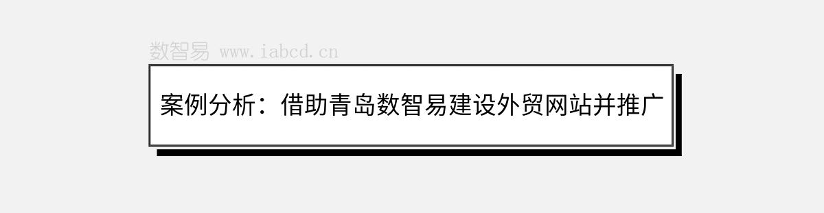 案例分析：借助青島數(shù)智易建設(shè)外貿(mào)網(wǎng)站并推廣