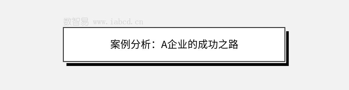 案例分析：A企業(yè)的成功之路