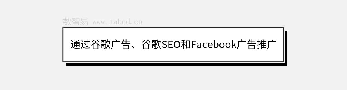 通過谷歌廣告、谷歌SEO和Facebook廣告推廣