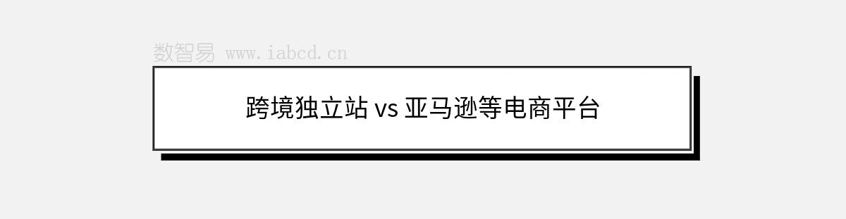 跨境獨立站 vs 亞馬遜等電商平臺