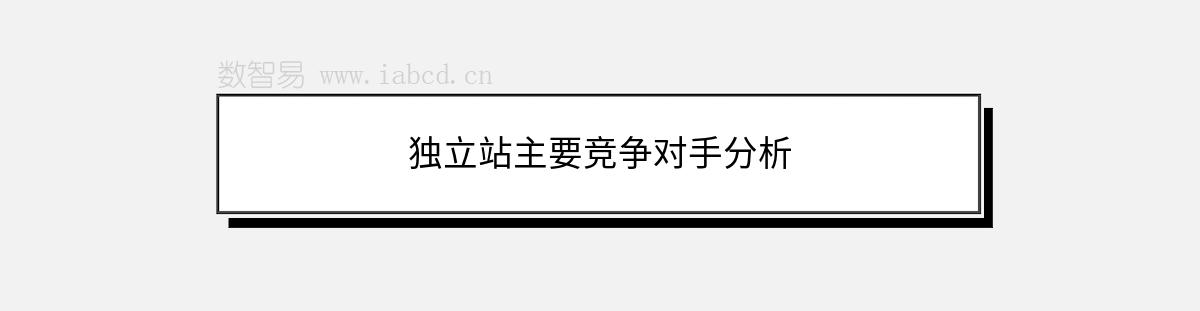 獨立站主要競爭對手分析