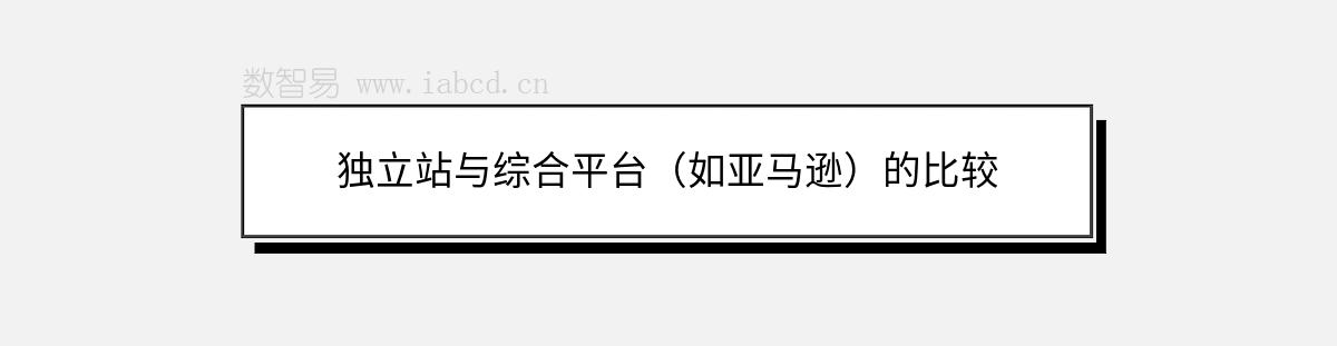 獨立站與綜合平臺（如亞馬遜）的比較