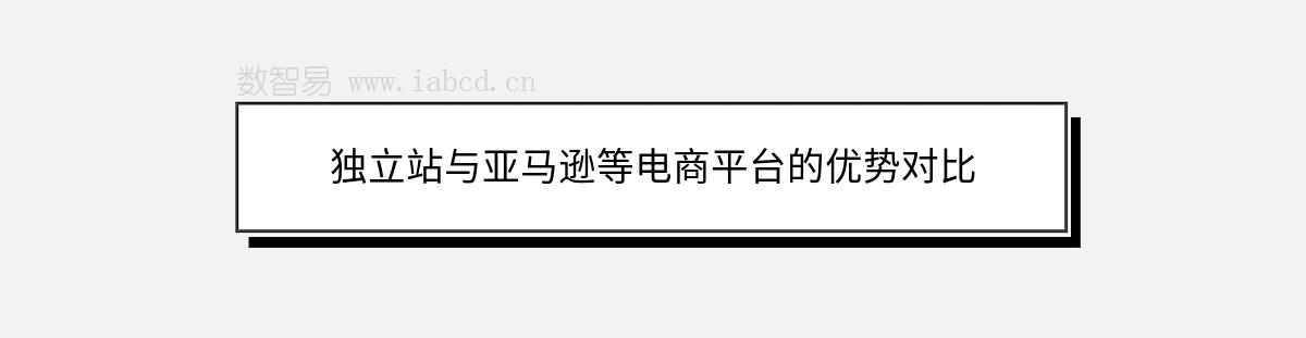 獨(dú)立站與亞馬遜等電商平臺(tái)的優(yōu)勢(shì)對(duì)比