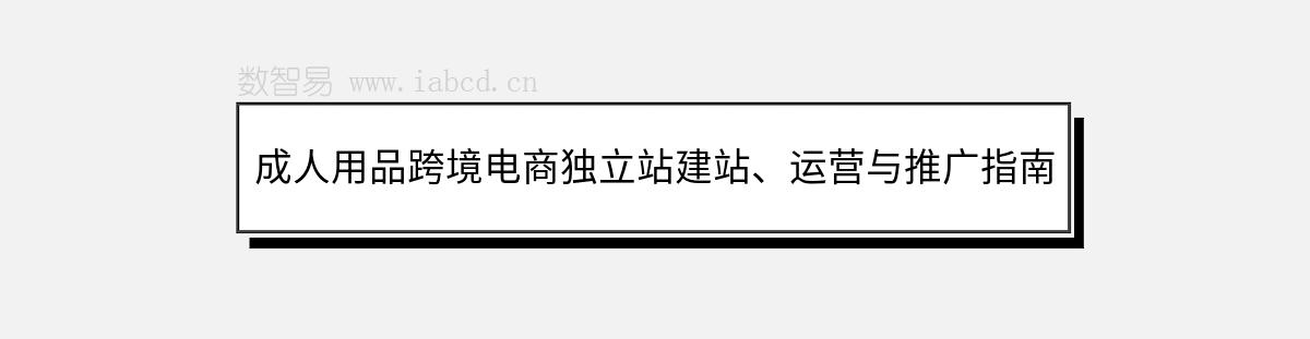 成人用品跨境電商獨(dú)立站建站、運(yùn)營(yíng)與推廣指南