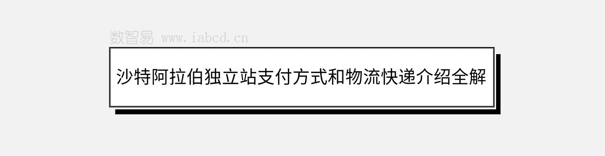 沙特阿拉伯獨(dú)立站支付方式和物流快遞介紹全解析