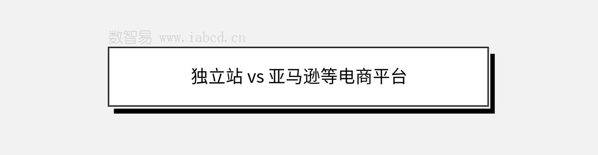 獨(dú)立站 vs 亞馬遜等電商平臺(tái)