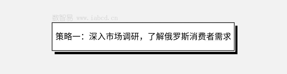 策略一：深入市場(chǎng)調(diào)研，了解俄羅斯消費(fèi)者需求