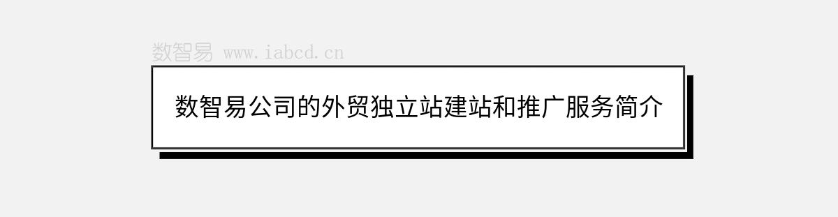 數(shù)智易公司的外貿(mào)獨立站建站和推廣服務(wù)簡介