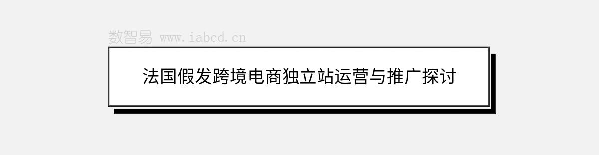 法國(guó)假發(fā)跨境電商獨(dú)立站運(yùn)營(yíng)與推廣探討