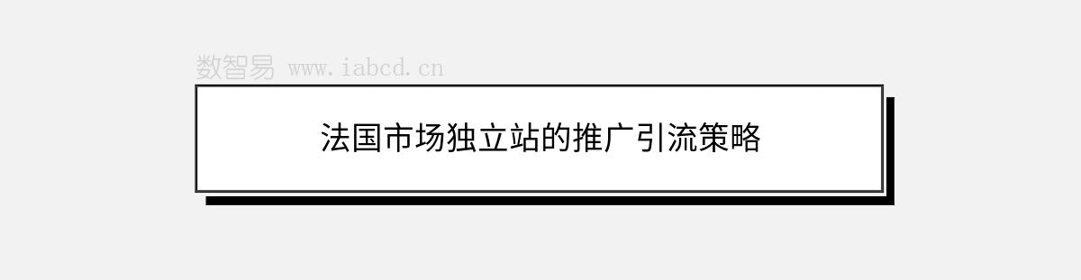 法國(guó)市場(chǎng)獨(dú)立站的推廣引流策略