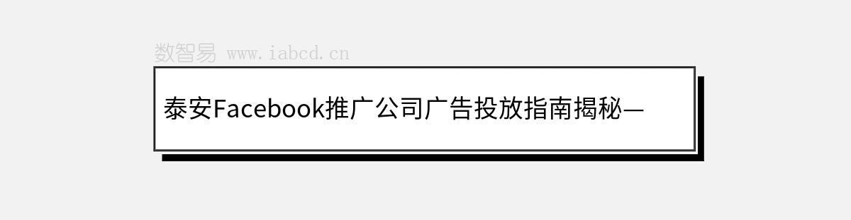 泰安Facebook推廣公司廣告投放指南揭秘——助力本地外貿(mào)和跨境電商企業(yè)騰飛
