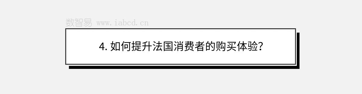 4. 如何提升法國(guó)消費(fèi)者的購(gòu)買(mǎi)體驗(yàn)？