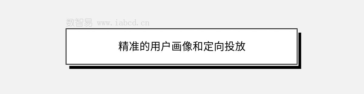 精準(zhǔn)的用戶畫像和定向投放