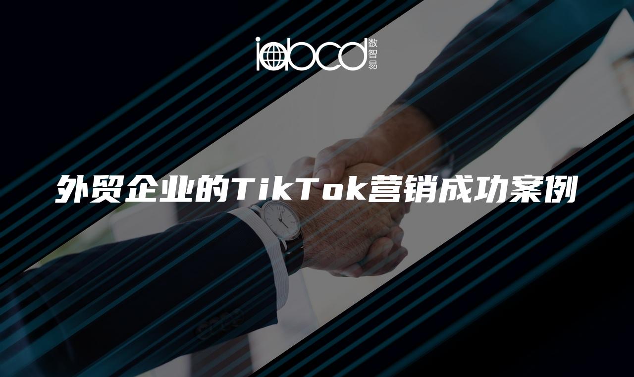 外貿(mào)企業(yè)的TikTok營銷成功案例